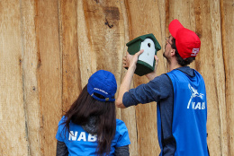 Foto: NABU/Marcus Gloger