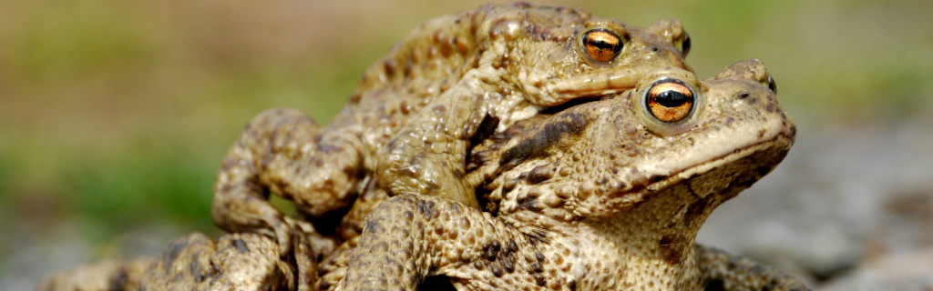 Foto: Thurit Tschöpe