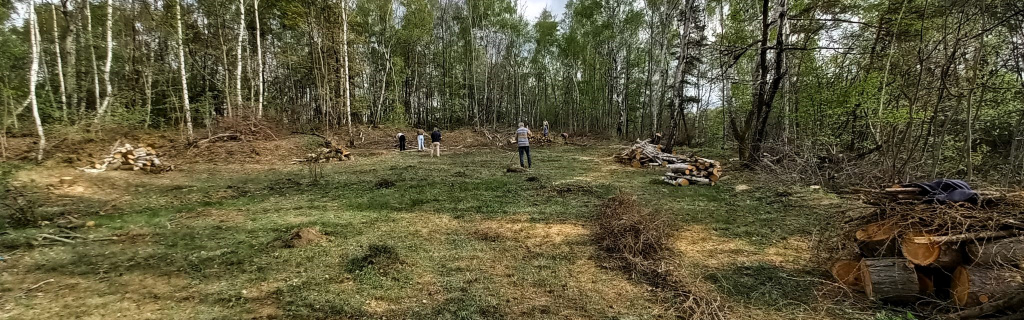 Foto: Andreas Püwert, NABU Freiberg