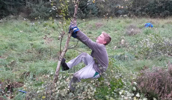 Foto: NABU Freiberg e.V.